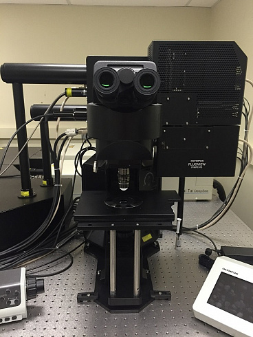 OLYMPUS FVMPE-RS  Evident